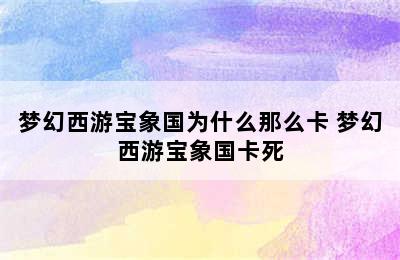 梦幻西游宝象国为什么那么卡 梦幻西游宝象国卡死